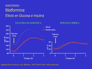 Bas a l Metformin a 0 80 120 160 200 240 280 320 360 1 2 3 Glucosa Oral Glucosa Oral Ti e m po  (h) 0 0 20 40 60 1 2 3 Ti e m po  (h) GLUCOSA PLASMÁTICA INSULINA SÉRICA mg/ dL  U /L Adapted from Jackson, et al. Diabetes. 1987;36:632-640, with permission. MONOTERAPI A Metformin a: Efect o   en Glucosa e Insulina 