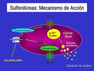 Canal K+ ATP Despolarización Metabolismo Ca ++ Libre SULFONILUREA Célula  Beta Glucosa (–) (–) (+) Liberación de insulina [ATP] [ADP] Ca++ Gránulos secretorios (+) Sulfonilúreas: Mecanismo de Acción 