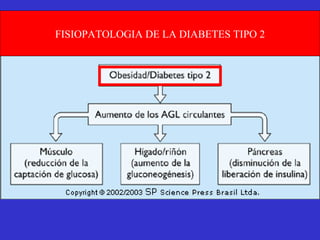 FISIOPATOLOGIA DE LA DIABETES TIPO 2 
