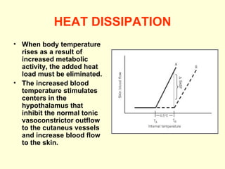 HEAT DISSIPATION When body temperature rises as a result of increased metabolic activity, the added heat load must be eliminated. The increased blood temperature stimulates centers in the hypothalamus that inhibit the normal tonic vasoconstrictor outflow to the cutaneus vessels and increase blood flow to the skin. 