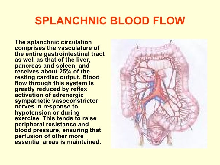 34. cardiovascular 520809