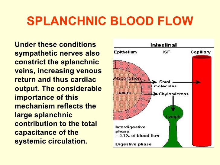 34. cardiovascular 520809