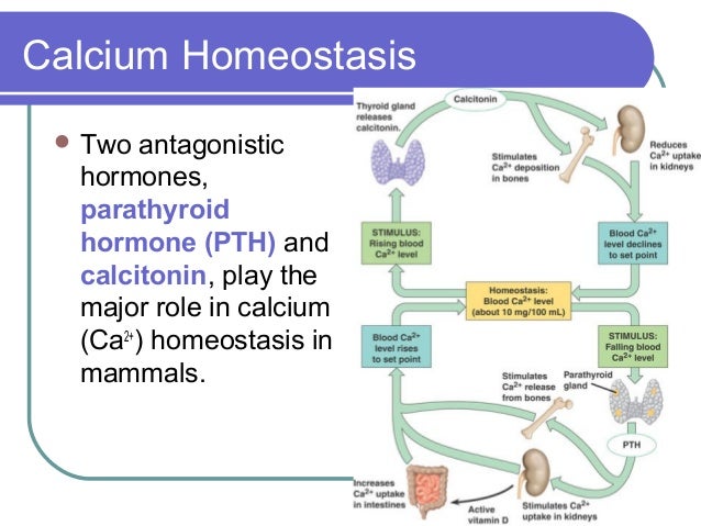 34. chemical coordination