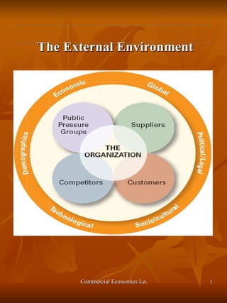 The External Environment 