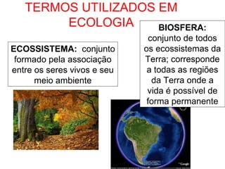 TERMOS UTILIZADOS EM
ECOLOGIA
BIOSFERA:
ECOSSISTEMA: conjunto
formado pela associação
entre os seres vivos e seu
meio ambiente

conjunto de todos
os ecossistemas da
Terra; corresponde
a todas as regiões
da Terra onde a
vida é possível de
forma permanente

 
