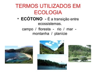 TERMOS UTILIZADOS EM
ECOLOGIA
• ECÓTONO - É a transição entre
ecossistemas.
campo / floresta - rio / mar montanha / planície

 