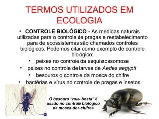 TERMOS UTILIZADOS EM
ECOLOGIA
• CONTROLE BIOLÓGICO - As medidas naturais
utilizadas para o controle de pragas e restabelecimento
para de ecossistemas são chamados controles
biológicos. Podemos citar como exemplo de controle
biológico:
• peixes no controle da esquistossomose
• peixes no controle de larvas de Aedes aegypti
• besouros o controle da mosca do chifre
• bactérias e vírus no controle de pragas e insetos
O besouro “rola- bosta” é
usado no controle biológico
da mosca-dos-chifres

 