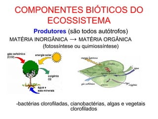 COMPONENTES BIÓTICOS DO
ECOSSISTEMA
Produtores (são todos autótrofos)
MATÉRIA INORGÂNICA → MATÉRIA ORGÂNICA
(fotossíntese ou quimiossíntese)

-bactérias clorofiladas, cianobactérias, algas e vegetais
clorofilados

 
