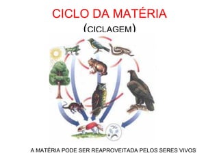 CICLO DA MATÉRIA
(CICLAGEM)

A MATÉRIA PODE SER REAPROVEITADA PELOS SERES VIVOS

 