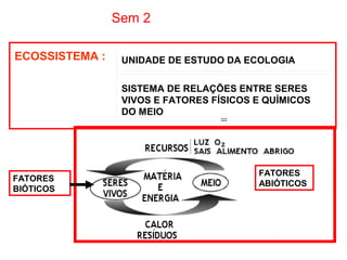 Sem 2
ECOSSISTEMA :

UNIDADE DE ESTUDO DA ECOLOGIA
SISTEMA DE RELAÇÕES ENTRE SERES
VIVOS E FATORES FÍSICOS E QUÍMICOS
DO MEIO

=

FATORES
BIÓTICOS

FATORES
ABIÓTICOS

 