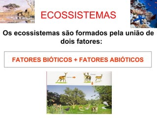 ECOSSISTEMAS
Os ecossistemas são formados pela união de
dois fatores:
FATORES BIÓTICOS + FATORES ABIÓTICOS

 