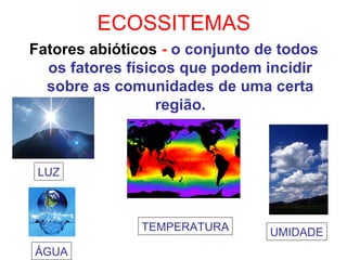 ECOSSITEMAS
Fatores abióticos - o conjunto de todos
os fatores físicos que podem incidir
sobre as comunidades de uma certa
região.

LUZ

TEMPERATURA
ÁGUA

UMIDADE

 