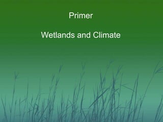 Primer 
Wetlands and Climate 
 