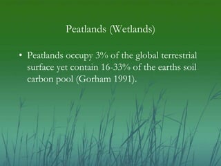 Peatlands (Wetlands) 
• Peatlands occupy 3% of the global terrestrial 
surface yet contain 16-33% of the earths soil 
carb...