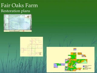 Fair Oaks Farm 
Restoration plans 
Management Units 
Soil/Vegetation Relationship 
WATER 
EMERGENT 
SEDGE 
WET MESIC/ SEDG...