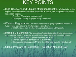KEY POINTS 
oHigh Recovery and Climate Mitigation Benefits: Wetlands have the 
highest carbon sequestration rates measured...