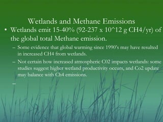 Steven Apfelbaum - Wetlands: Sinking Carbon and Keeping It Out of the Atmosphere