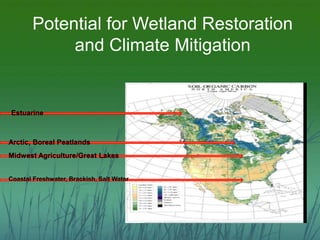 Potential for Wetland Restoration 
and Climate Mitigation 
Estuarine 
Arctic, Boreal Peatlands 
Midwest Agriculture/Great ...