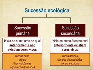 Sucessão ecológica
Sucessão
primária

Sucessão
secundária

Inicia-se numa área na qual
anteriormente não
existiam seres vivos

Inicia-se numa área na qual
anteriormente existiam
seres vivos

rochas nuas
dunas
ilhas vulcânicas
lagos recém-formados

zonas ardidas
campos abandonados
zonas alagadas

 
