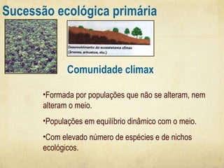 Sucessão ecológica primária

Comunidade climax
•Formada por populações que não se alteram, nem
alteram o meio.
•Populações em equilíbrio dinâmico com o meio.
•Com elevado número de espécies e de nichos
ecológicos.

 
