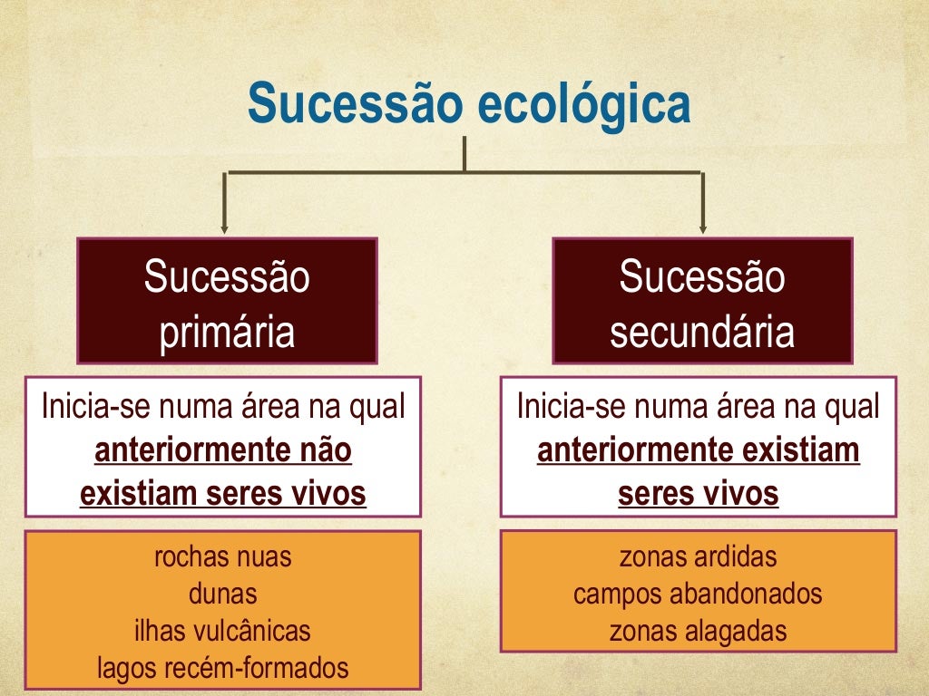 Uma Diferença Entre Sucessão Primária E Sucessão Secundária é