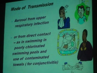 34. the dna viruses i
