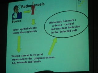 34. the dna viruses i