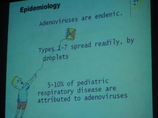 34. the dna viruses i