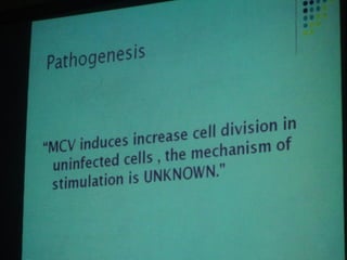 34. the dna viruses i