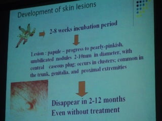 34. the dna viruses i