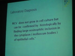 34. the dna viruses i