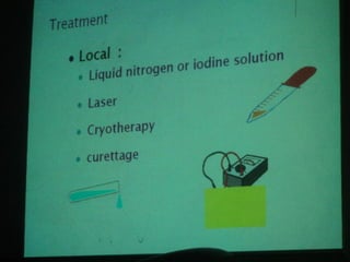 34. the dna viruses i