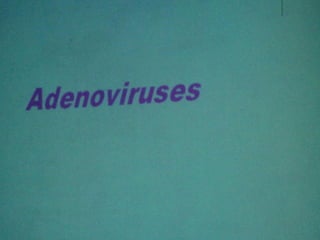 34. the dna viruses i