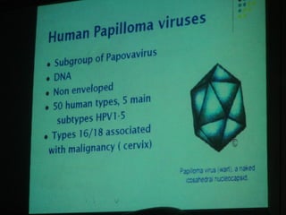 34. the dna viruses i