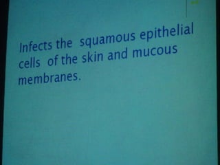 34. the dna viruses i