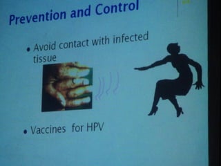 34. the dna viruses i