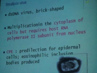34. the dna viruses i