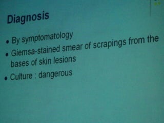 34. the dna viruses i