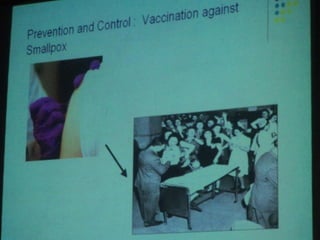 34. the dna viruses i