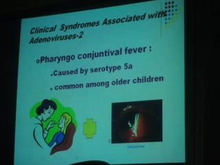 34. the dna viruses i