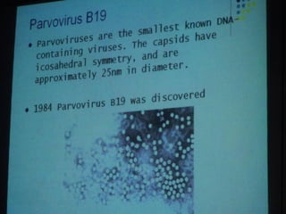 34. the dna viruses i