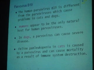 34. the dna viruses i