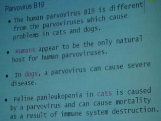 34. the dna viruses i