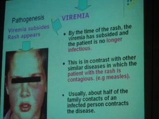 34. the dna viruses i