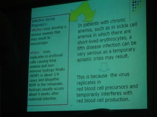 34. the dna viruses i