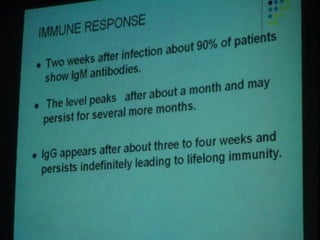 34. the dna viruses i