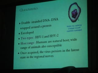 34. the dna viruses ii