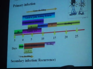 34. the dna viruses ii