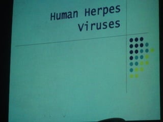 34. the dna viruses ii