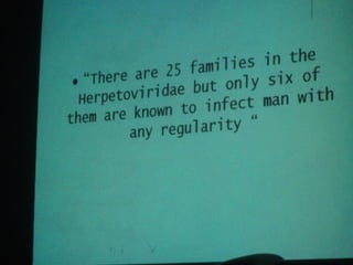 34. the dna viruses ii